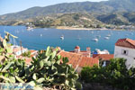 Poros | Saronic Gulf Islands | Greece  Photo 148 - Photo GreeceGuide.co.uk