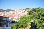 Poros | Saronic Gulf Islands | Greece  Photo 160 - Photo GreeceGuide.co.uk