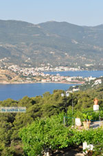Poros | Saronic Gulf Islands | Greece  Photo 196 - Photo GreeceGuide.co.uk