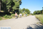 Poros | Saronic Gulf Islands | Greece  Photo 197 - Photo GreeceGuide.co.uk