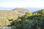 Poros | Saronic Gulf Islands | Greece  Photo 203 - Photo GreeceGuide.co.uk