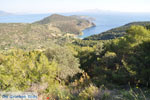 Poros | Saronic Gulf Islands | Greece  Photo 207 - Photo GreeceGuide.co.uk