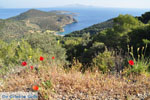 Poros | Saronic Gulf Islands | Greece  Photo 208 - Photo GreeceGuide.co.uk