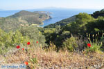 Poros | Saronic Gulf Islands | Greece  Photo 209 - Photo GreeceGuide.co.uk