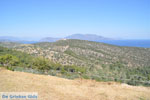 Poseidon heiligdom Poros | Saronic Gulf Islands | Greece  Photo 230 - Photo GreeceGuide.co.uk