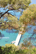 Poros | Saronic Gulf Islands | Greece  Photo 247 - Photo GreeceGuide.co.uk