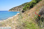 Poros | Saronic Gulf Islands | Greece  Photo 251 - Photo GreeceGuide.co.uk