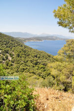 Poros | Saronic Gulf Islands | Greece  Photo 263 - Photo GreeceGuide.co.uk