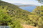 Poros | Saronic Gulf Islands | Greece  Photo 264 - Photo GreeceGuide.co.uk