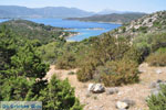 Poros | Saronic Gulf Islands | Greece  Photo 265 - Photo GreeceGuide.co.uk