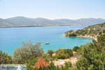 Poros | Saronic Gulf Islands | Greece  Photo 268 - Photo GreeceGuide.co.uk