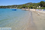 Neorio Poros | Saronic Gulf Islands | Greece  Photo 292 - Photo GreeceGuide.co.uk