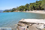 Neorio Poros | Saronic Gulf Islands | Greece  Photo 294 - Photo GreeceGuide.co.uk