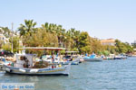 Neorio Poros | Saronic Gulf Islands | Greece  Photo 298 - Photo GreeceGuide.co.uk