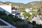 Askeli Poros | Saronic Gulf Islands | Greece  Photo 306 - Photo GreeceGuide.co.uk