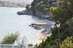 Askeli Poros | Saronic Gulf Islands | Greece  Photo 311 - Photo GreeceGuide.co.uk