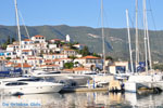 Poros | Saronic Gulf Islands | Greece  Photo 372 - Photo GreeceGuide.co.uk