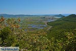 Ammoudia, Acheron delta - Prefecture Preveza -  Photo 1 - Photo GreeceGuide.co.uk