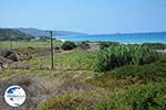 Apolakkia Rhodes - Island of Rhodes Dodecanese - Photo 85 - Photo GreeceGuide.co.uk