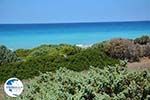 Apolakkia Rhodes - Island of Rhodes Dodecanese - Photo 87 - Photo GreeceGuide.co.uk