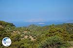 Embonas Rhodes - Island of Rhodes Dodecanese - Photo 17 - Photo GreeceGuide.co.uk