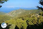 Embonas Rhodes - Island of Rhodes Dodecanese - Photo 19 - Photo GreeceGuide.co.uk