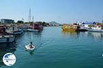 Faliraki Rhodes - Island of Rhodes Dodecanese - Photo 238 - Photo GreeceGuide.co.uk