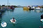 Faliraki Rhodes - Island of Rhodes Dodecanese - Photo 239 - Photo GreeceGuide.co.uk