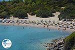 Glystra beach Kiotari Rhodes - Island of Rhodes Dodecanese - Photo 421 - Photo GreeceGuide.co.uk