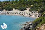 Glystra beach Kiotari Rhodes - Island of Rhodes Dodecanese - Photo 422 - Photo GreeceGuide.co.uk