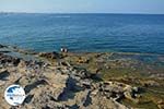 Kalithea Rhodes - Island of Rhodes Dodecanese - Photo 506 - Photo GreeceGuide.co.uk