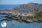 Ladiko Rhodes - Anthony Quinn Rhodes - Island of Rhodes Dodecanese - Photo 790 - Photo GreeceGuide.co.uk