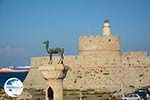 Rhodes town - Rhodes - Island of Rhodes Dodecanese - Photo 1508 - Photo GreeceGuide.co.uk