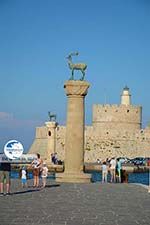 Rhodes town - Rhodes - Island of Rhodes Dodecanese - Photo 1518 - Photo GreeceGuide.co.uk