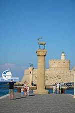 Rhodes town - Rhodes - Island of Rhodes Dodecanese - Photo 1519 - Photo GreeceGuide.co.uk