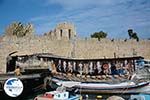 Rhodes town - Rhodes - Island of Rhodes Dodecanese - Photo 1537 - Photo GreeceGuide.co.uk