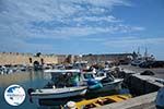 Rhodes town - Rhodes - Island of Rhodes Dodecanese - Photo 1544 - Photo GreeceGuide.co.uk