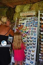 Valley of Butterflies Rhodes - Island of Rhodes Dodecanese - Photo 1828 - Photo GreeceGuide.co.uk