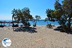 The beaches Kampos Samos and Votsalakia Samos | Greece Photo 18 - Photo GreeceGuide.co.uk