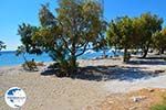 The beaches Kampos Samos and Votsalakia Samos | Greece Photo 19 - Photo GreeceGuide.co.uk