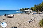 The beaches Kampos Samos and Votsalakia Samos | Greece Photo 21 - Photo GreeceGuide.co.uk