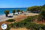 The beaches Kampos Samos and Votsalakia Samos | Greece Photo 32 - Photo GreeceGuide.co.uk