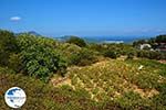 Kosmadei Samos and Karlovassi Samos from bergen - Photo GreeceGuide.co.uk