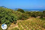 Kosmadei Samos and Karlovassi Samos from bergen - Photo GreeceGuide.co.uk