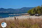 beach near Pythagorion Samos - Potokaki Samos Photo 3 - Photo GreeceGuide.co.uk