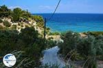 beach Tsamadou Kokkari Samos | Greece Photo 9 - Photo GreeceGuide.co.uk