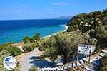 beach Tsamadou Kokkari Samos | Greece Photo 15 - Photo GreeceGuide.co.uk