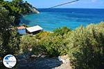 beach Tsambou Kokkari Samos | Greece Photo 0005 - Photo GreeceGuide.co.uk