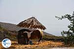 Somwewhere on Santorini island | Cyclades Greece | Photo 20 - Photo GreeceGuide.co.uk