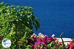 Oia Santorini | Cyclades Greece | Photo 1082 - Photo GreeceGuide.co.uk
